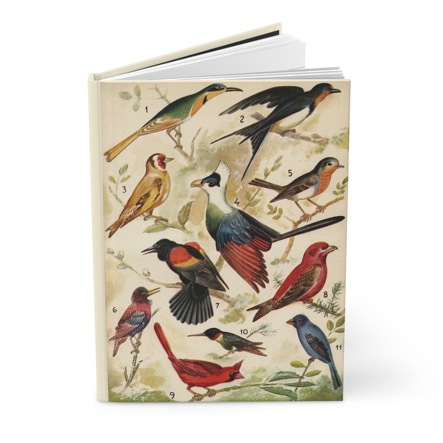 Bird journal Diccionario Enciclopedico Salvat 1950s ornithology plate Cardinal Indigo Bunting 11 species - LeBonJournal

