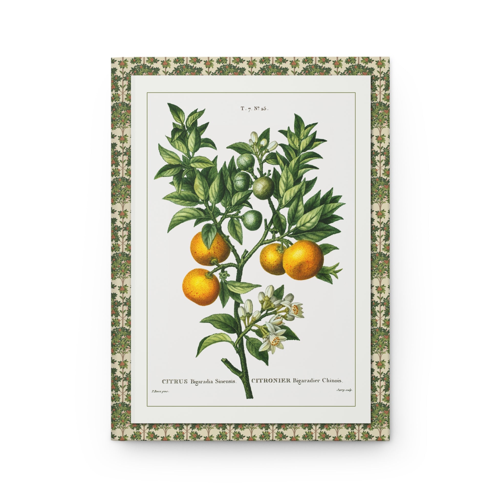 Bitter orange branch front cover Bessa 1801-1819 Citrus Bigaradia Azahar flowers fruit - LeBonJournal
