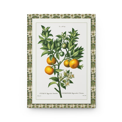 Bitter orange branch front cover Bessa 1801-1819 Citrus Bigaradia Azahar flowers fruit - LeBonJournal
