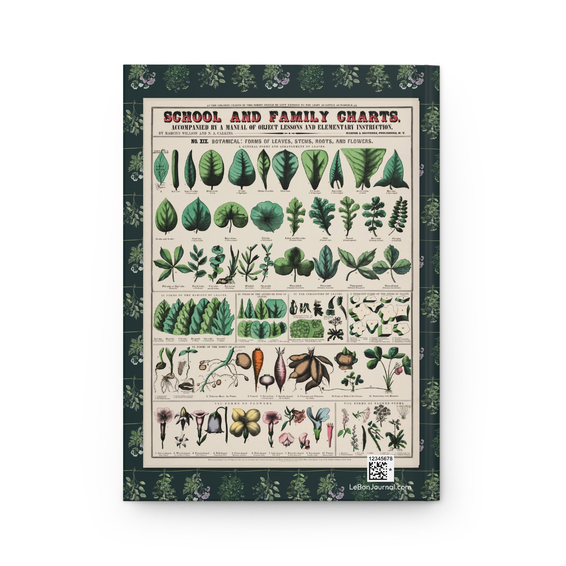 Back cover of Botanical School Chart journal featuring No. XIX Forms of Leaves, Stems, Roots, and Flowers educational chart with botanical morphology illustrations - LeBonJournal