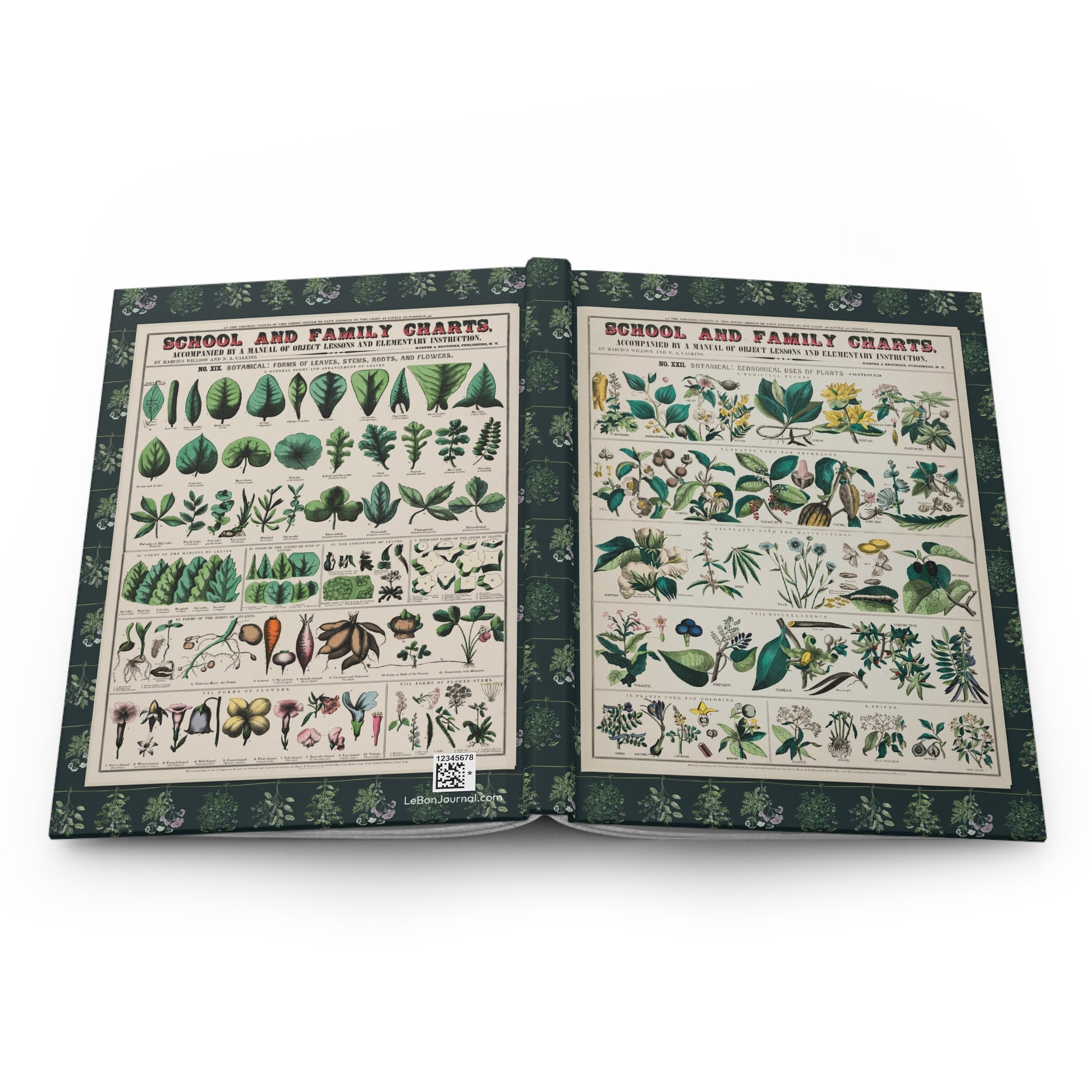Open Botanical School Chart journal showing durable casewrap binding, hardcover construction with 1890 Harper & Brothers educational botanical charts on front and back covers, and flexible spine for lay-flat writing - LeBonJournal