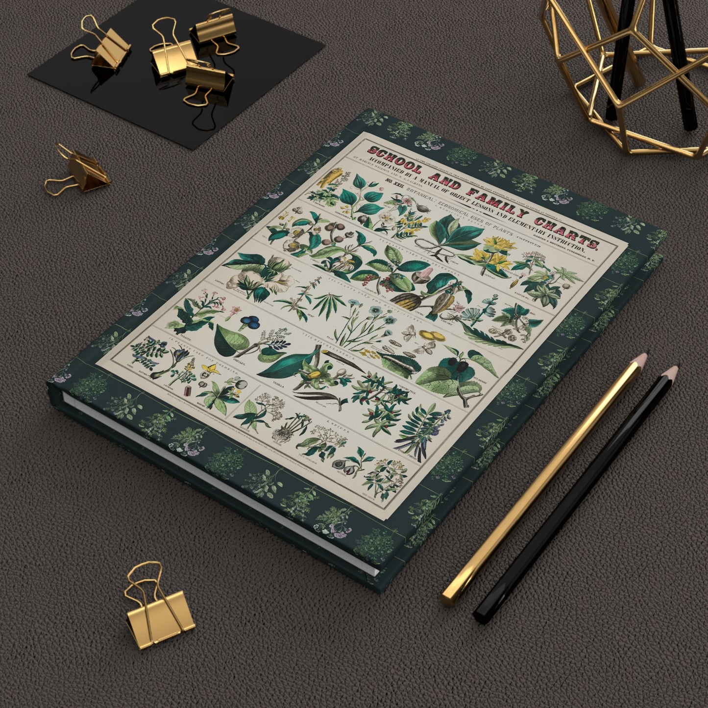 Botanical School Chart hardcover journal in lifestyle setting, premium matte finish journal featuring vintage educational charts, elegant stationery for teachers, botany students, and homeschool families - LeBonJournal