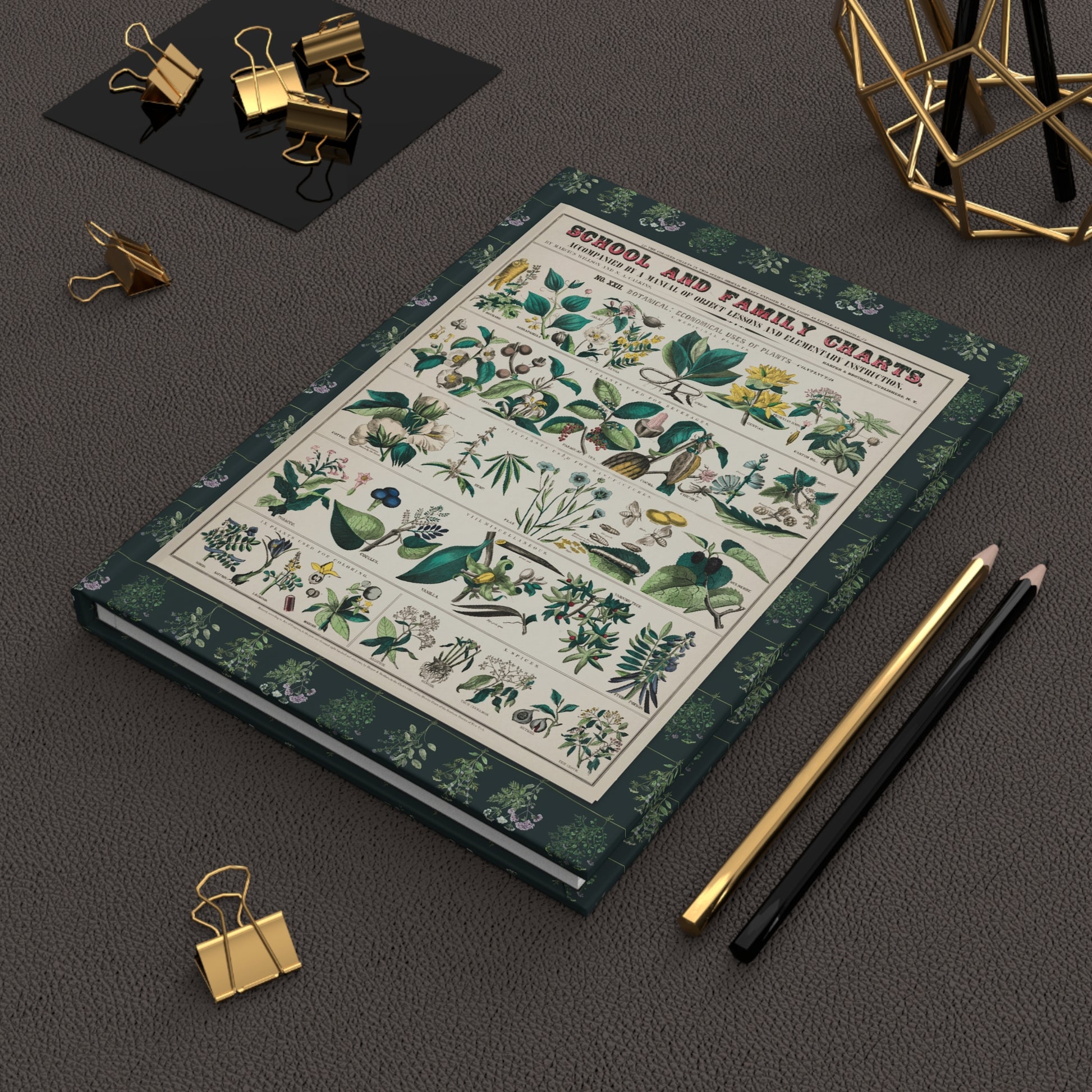 Botanical School Chart hardcover journal in lifestyle setting, premium matte finish journal featuring vintage educational charts, elegant stationery for teachers, botany students, and homeschool families - LeBonJournal