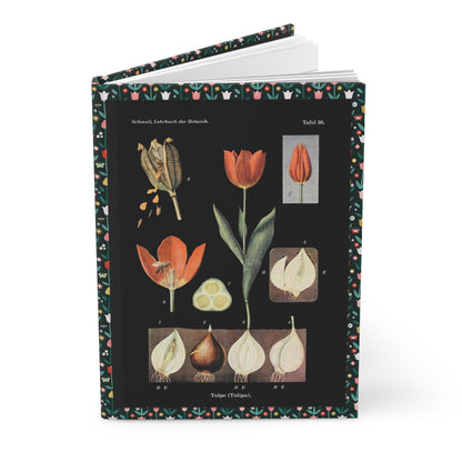 Botanical journal Otto Schmeil Lehrbuch der Botanik 1900 Tulipa life cycle front Colchicum autumnale back black - LeBonJournal
