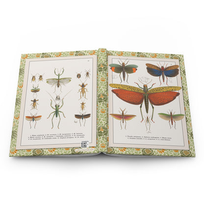 Brazilian insects hardcover journal spine full-wrap Perty Delectus 1830 Plates 23 24 Spix Martius expedition - LeBonJournal
