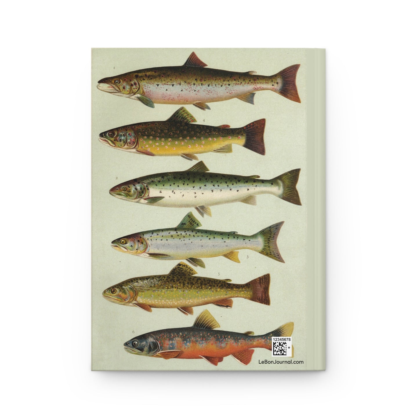 Brown Trout, Atlantic Salmon and Windermere Char back cover from Our Country's Fishes 1902, chromolithographic salmonid identification plates - LeBonJournal