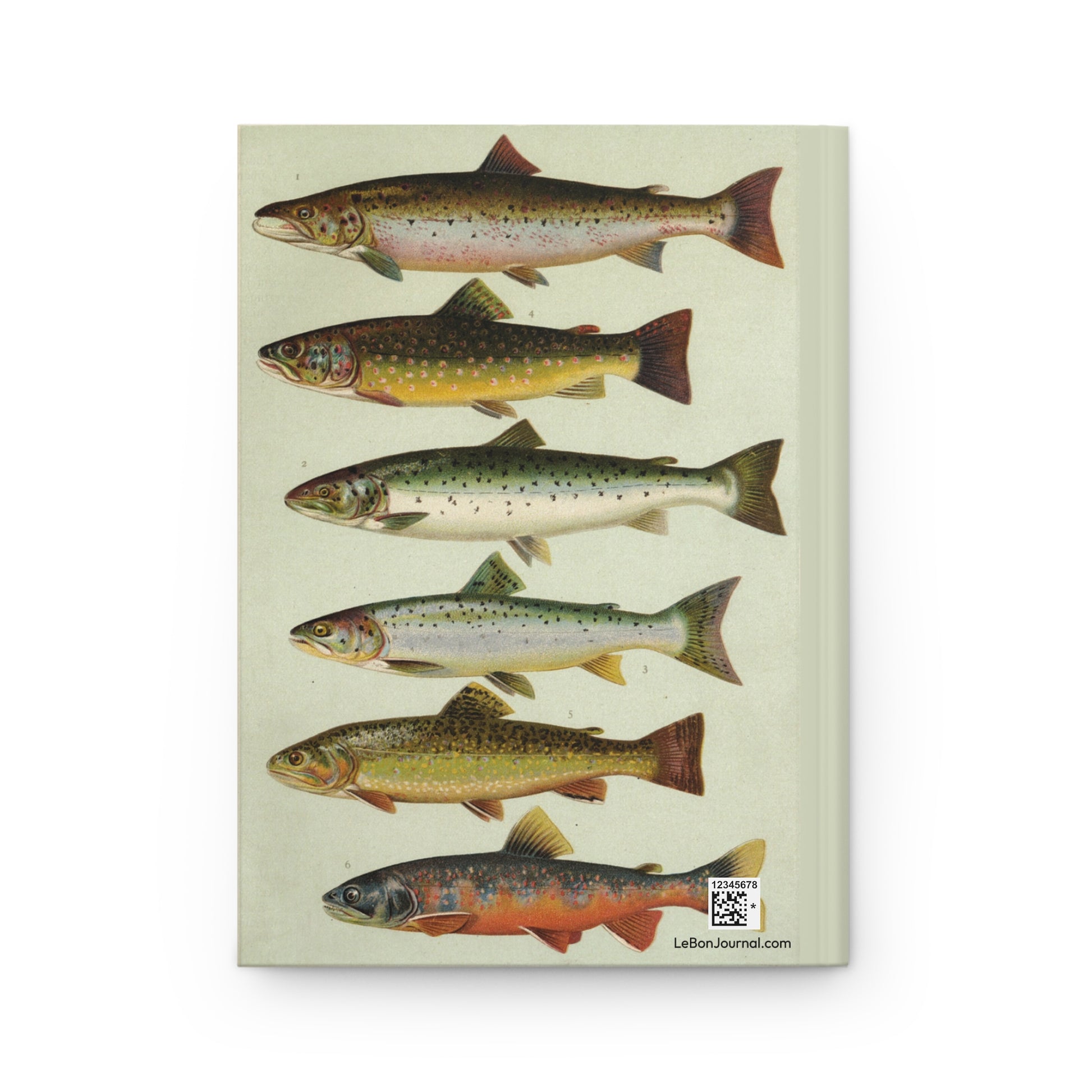 Brown Trout, Atlantic Salmon and Windermere Char back cover from Our Country's Fishes 1902, chromolithographic salmonid identification plates - LeBonJournal