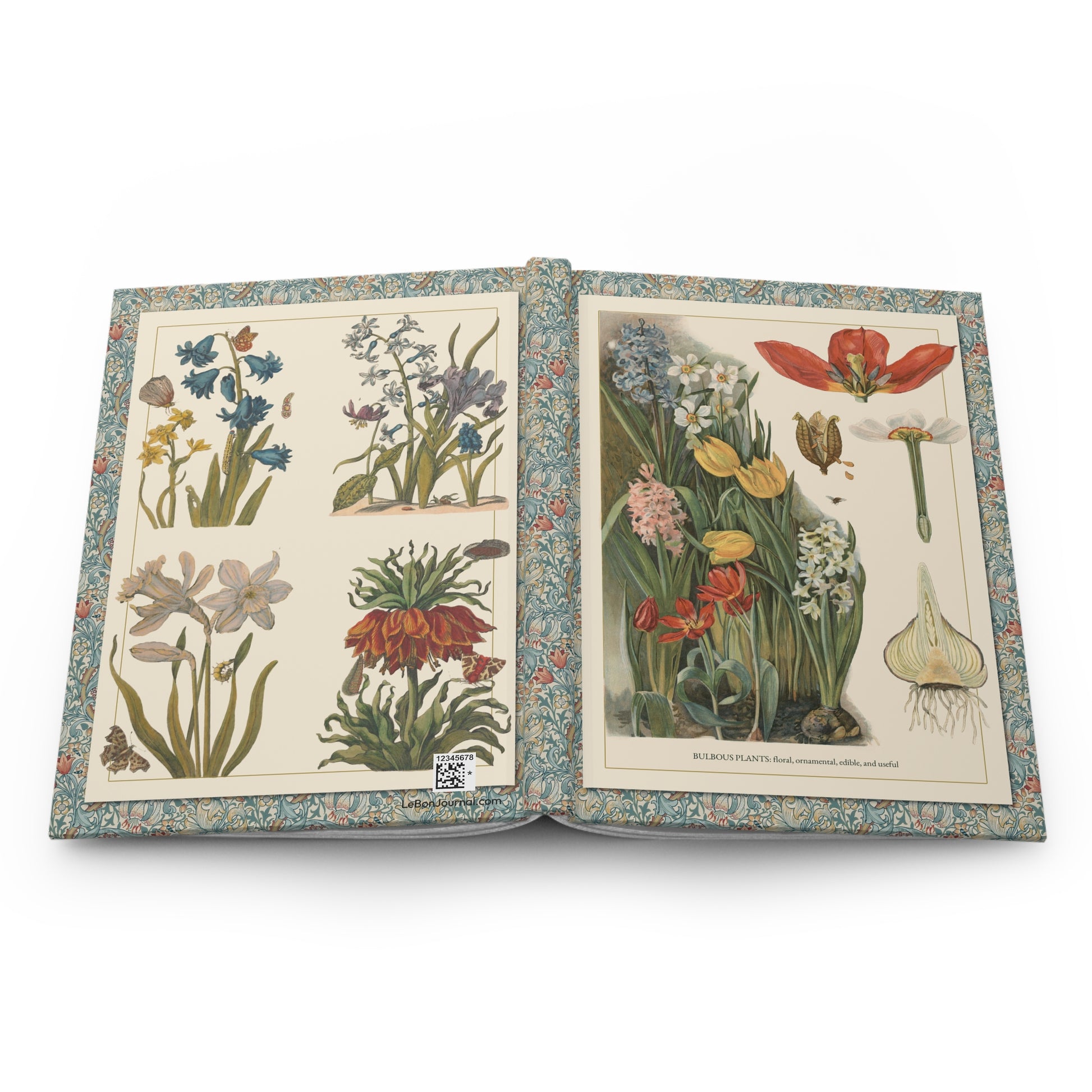 Open Bulbous Plants journal showing durable casewrap binding, hardcover construction with T-va I.D. Sytina 1910 and Maria Sibylla Merian bulbous plant illustrations on front and back covers, and flexible spine for lay-flat writing - LeBonJournal