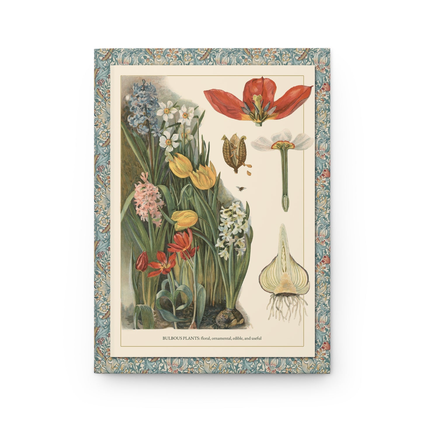 Front cover of Bulbous Plants journal featuring T-va I.D. Sytina 1910 Russian educational botanical plate with spring bulbs including hyacinths, narcissus, and tulips on premium matte hardcover - LeBonJournal