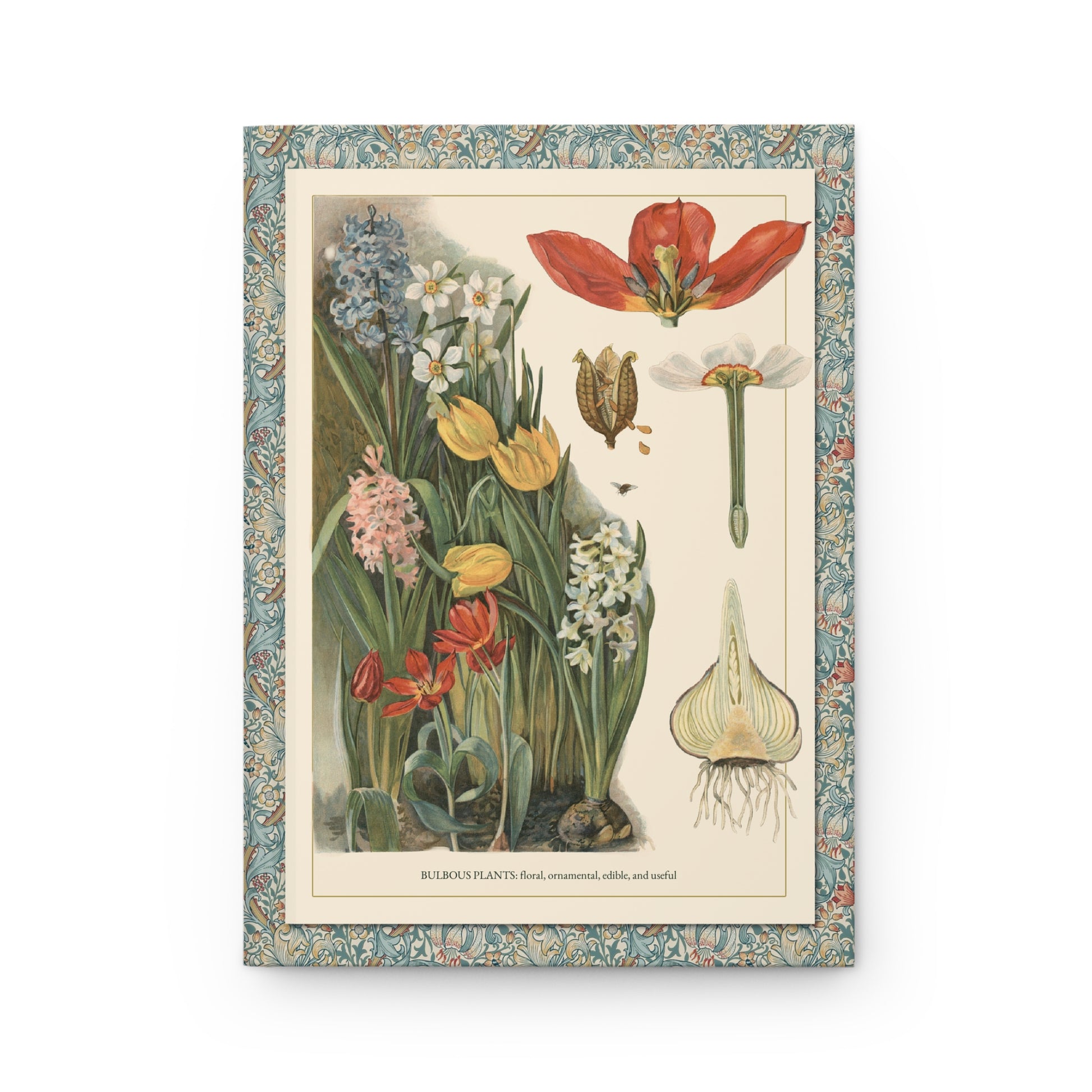 Front cover of Bulbous Plants journal featuring T-va I.D. Sytina 1910 Russian educational botanical plate with spring bulbs including hyacinths, narcissus, and tulips on premium matte hardcover - LeBonJournal