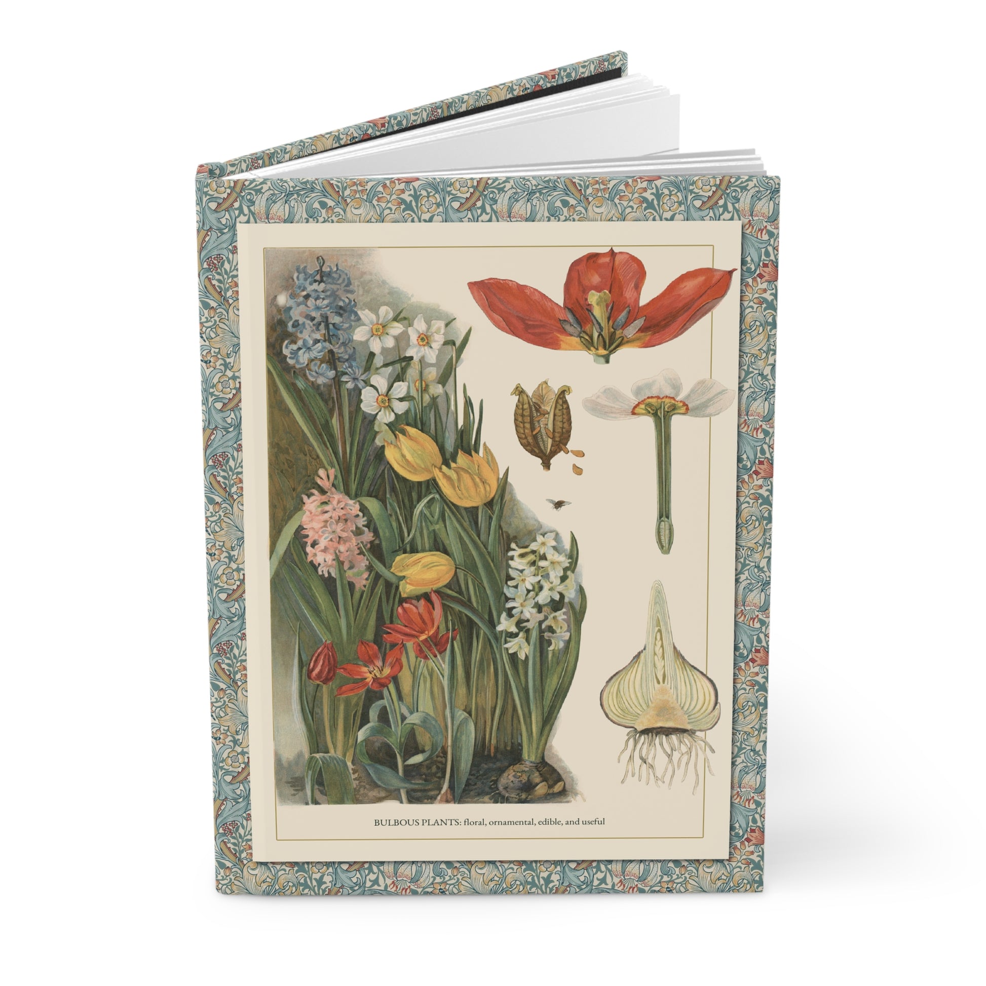 Hardcover bulbous plants journal standing upright showing front cover with T-va I.D. Sytina 1910 Russian botanical illustration featuring hyacinths, tulips, daffodils, and bulb cross-sections on matte finish cover - LeBonJournal