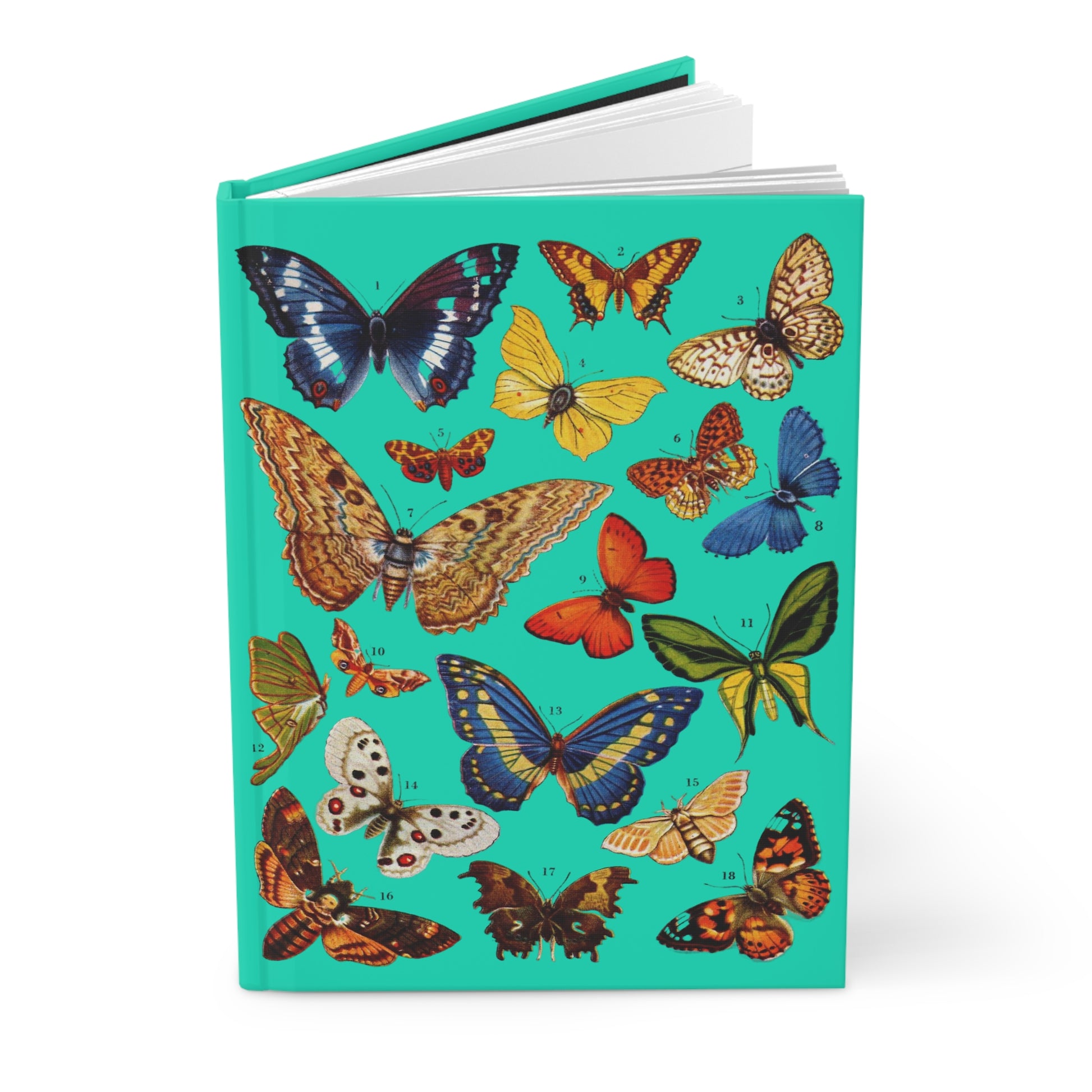 Butterfly journal El Tesoro de la Juventud Death's-Head Hawkmoth Lepidoptera 18 species turquoise - LeBonJournal
