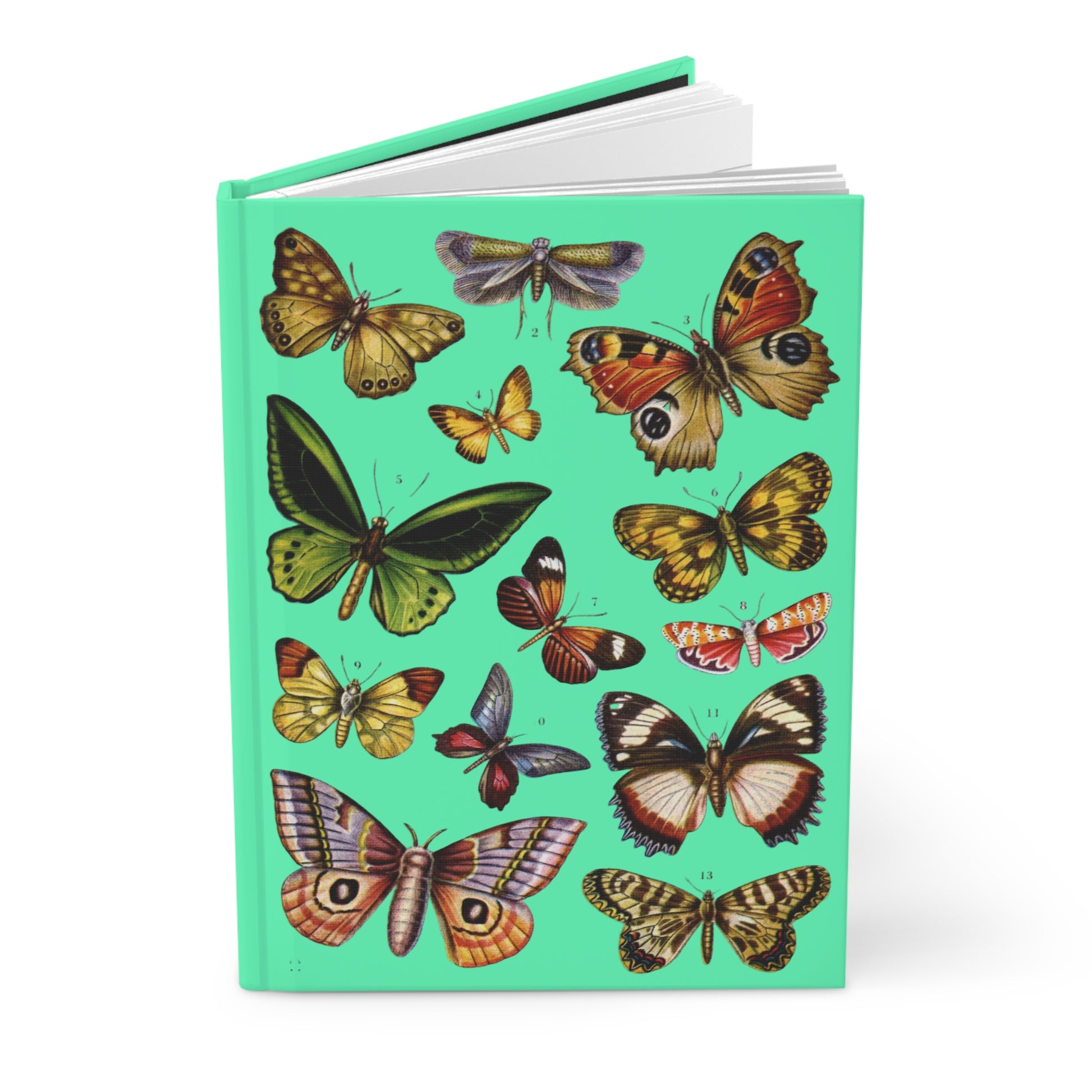Butterfly journal El Tesoro de la Juventud Birdwing Madagascar Diadem 13 species mint green - LeBonJournal
