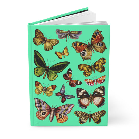 Butterfly journal El Tesoro de la Juventud Birdwing Madagascar Diadem 13 species mint green - LeBonJournal

