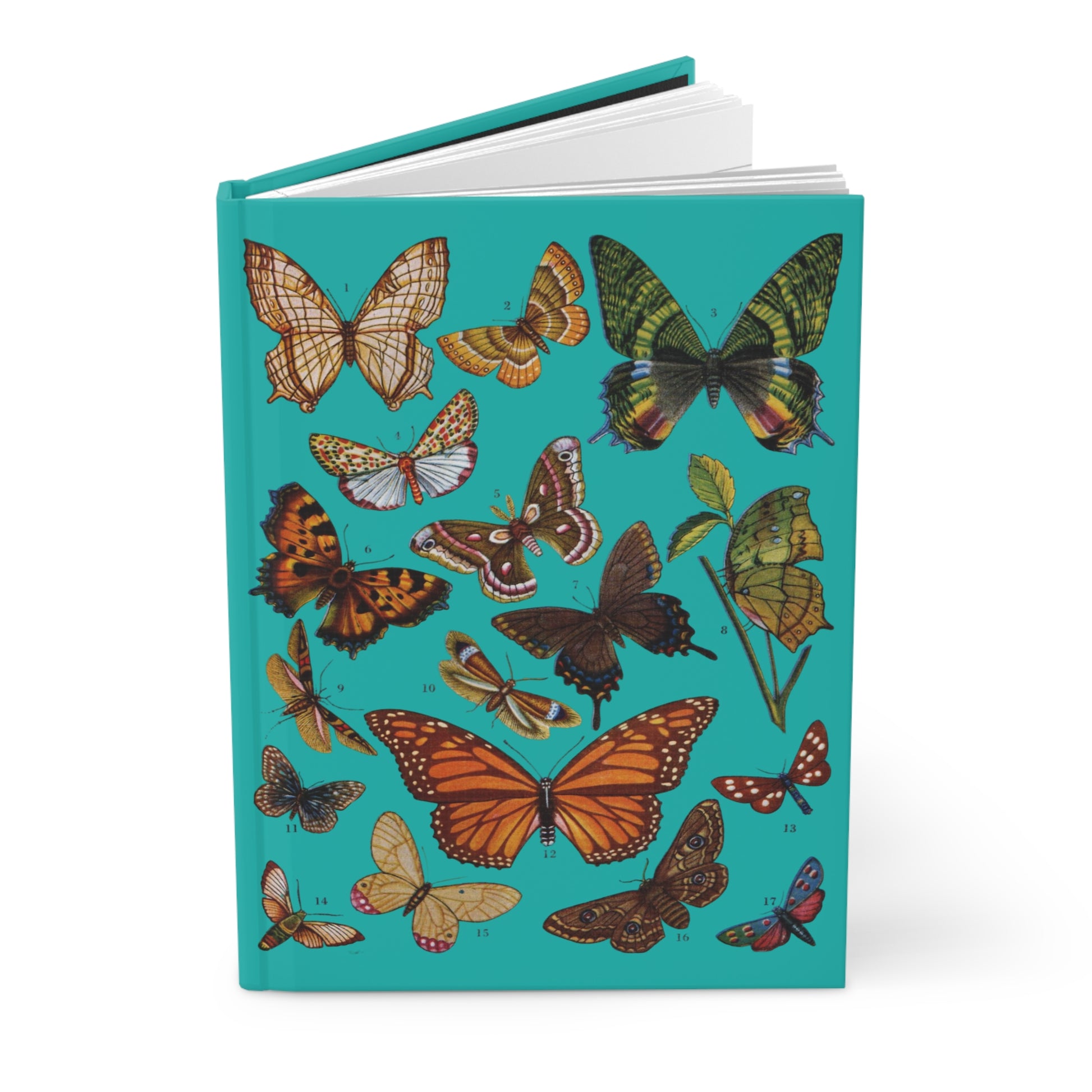 Butterfly journal El Tesoro de la Juventud Lepidoptera plate Monarch Saturnia 17 species teal - LeBonJournal
