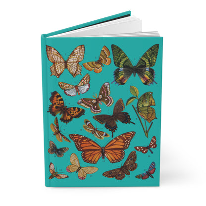Butterfly journal El Tesoro de la Juventud Lepidoptera plate Monarch Saturnia 17 species teal - LeBonJournal
