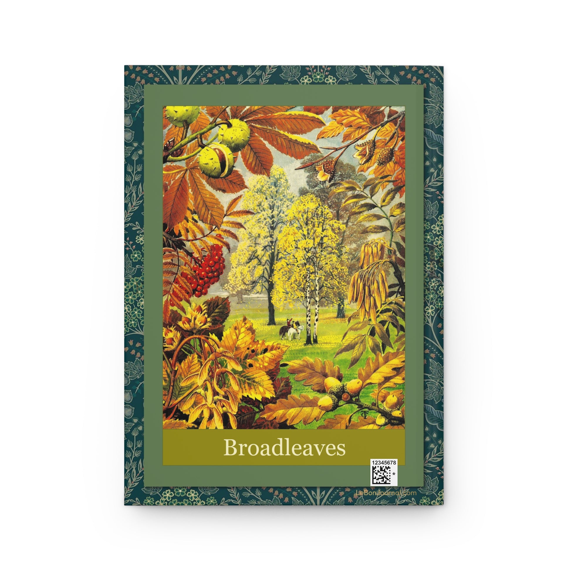 C.F. Tunnicliffe Forestry Commission Broadleaves back cover autumn broadleaf forest scene 1968 - LeBonJournal
