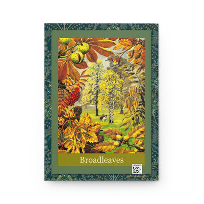C.F. Tunnicliffe Forestry Commission Broadleaves back cover autumn broadleaf forest scene 1968 - LeBonJournal
