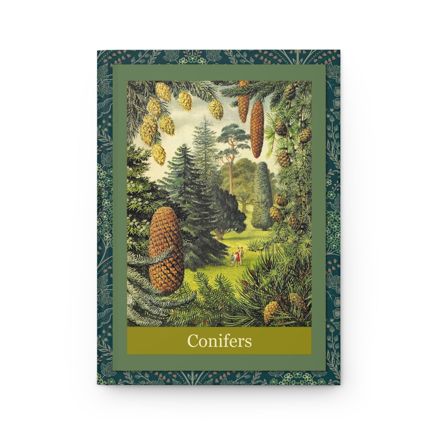 C.F. Tunnicliffe Forestry Commission Conifers front cover conifer trees cones botanical illustration - LeBonJournal
