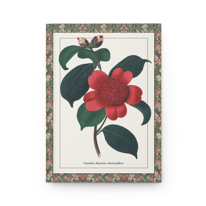 Alfred Chandler 1831 hand-coloured engraving Camellia japonica Anemoniflora Waratah Camellia anemone form front cover - LeBonJournal