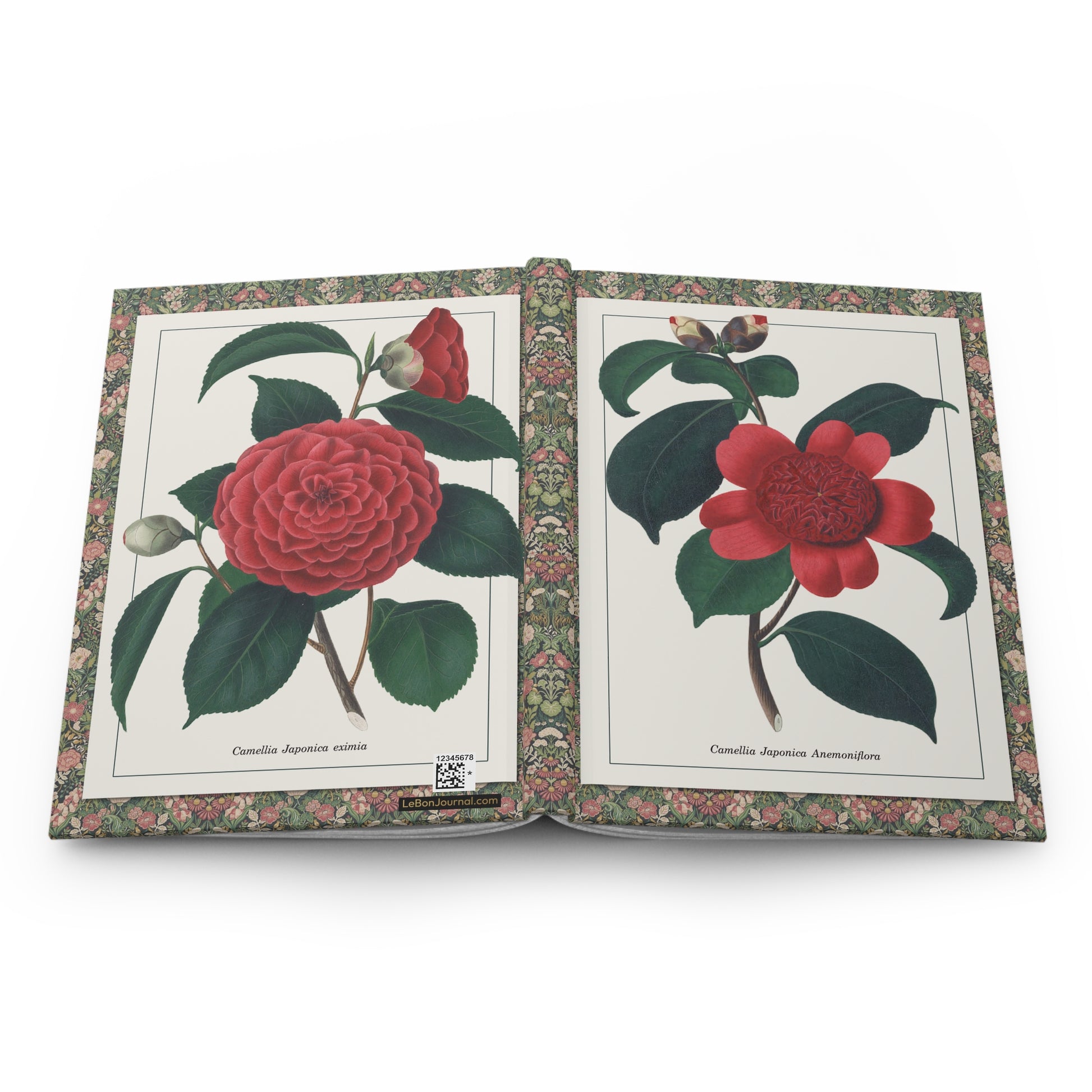 Alfred Chandler 1831 Camellia japonica hardcover journal spine and full-wrap Victorian hand-coloured engraving Camellieae - LeBonJournal