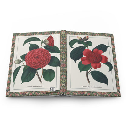 Alfred Chandler 1831 Camellia japonica hardcover journal spine and full-wrap Victorian hand-coloured engraving Camellieae - LeBonJournal