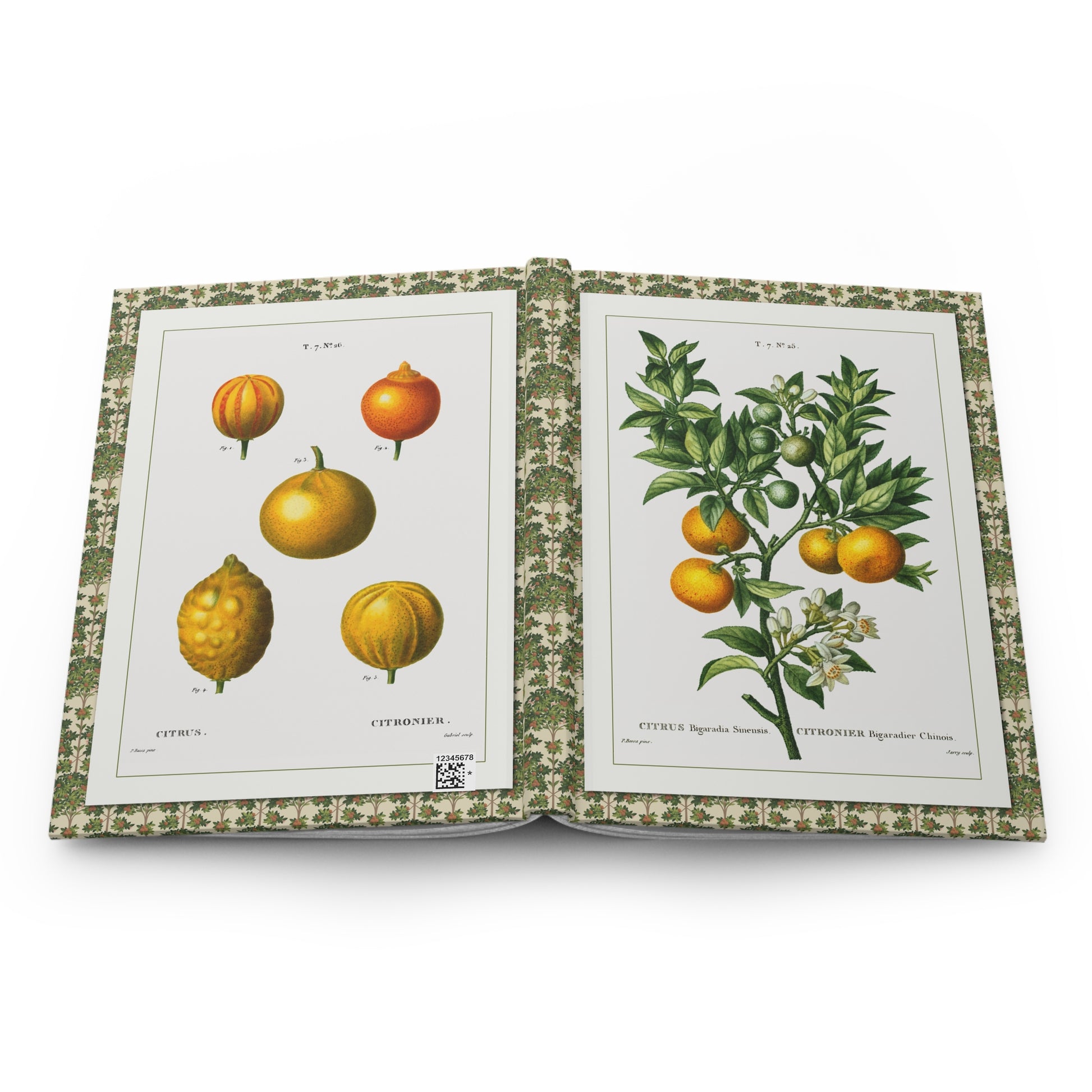 Citrus hardcover journal spine full-wrap Bessa 1801-1819 botanical engravings - LeBonJournal
