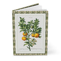 Citrus journal Bessa 1801-1819 bitter orange branch Azahar blossoms from Traité des Arbres et Arbustes - LeBonJournal