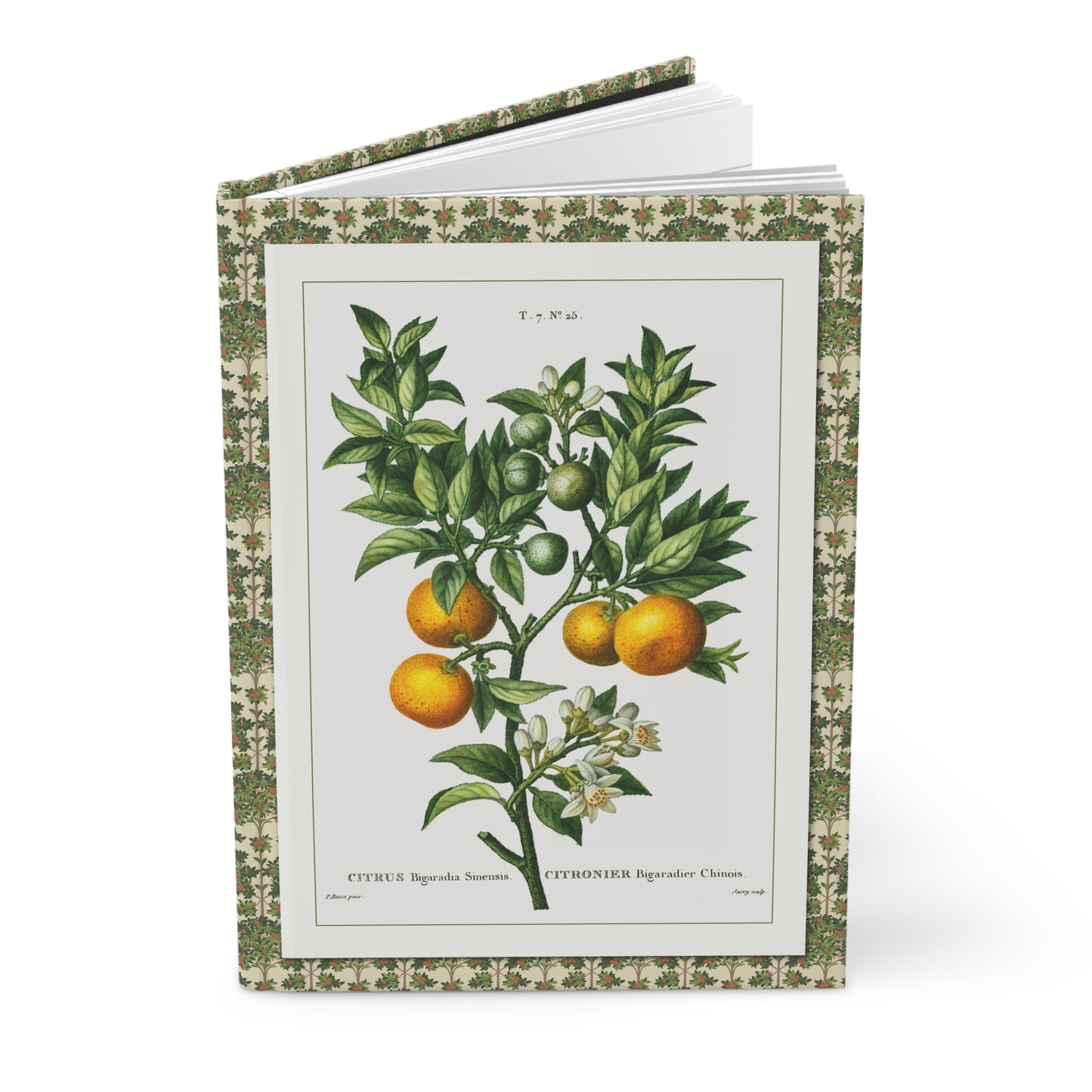 Citrus journal Bessa 1801-1819 bitter orange branch Azahar blossoms from Traité des Arbres et Arbustes - LeBonJournal
