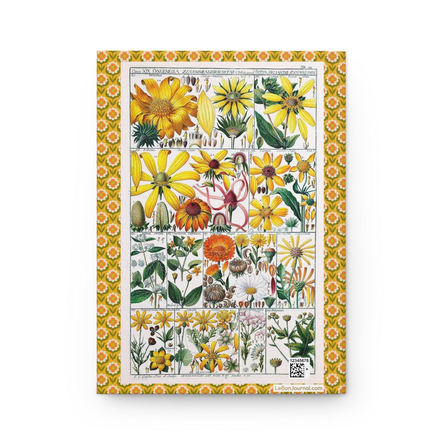 Classis XIX Syngenesia C.G. Geisler 1795 Linnaean botanical classification chart composite flowers back cover - LeBonJournal
