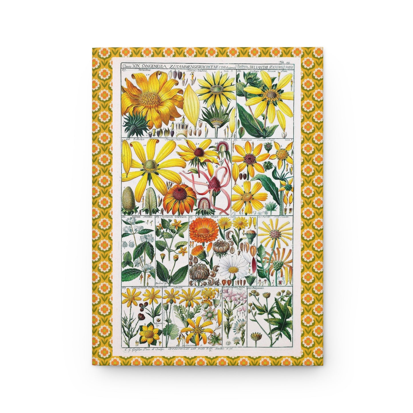 Classis XIX Syngenesia C.G. Geisler 1795 Linnaean chart Helianthus sunflowers daisies calendula front cover - LeBonJournal