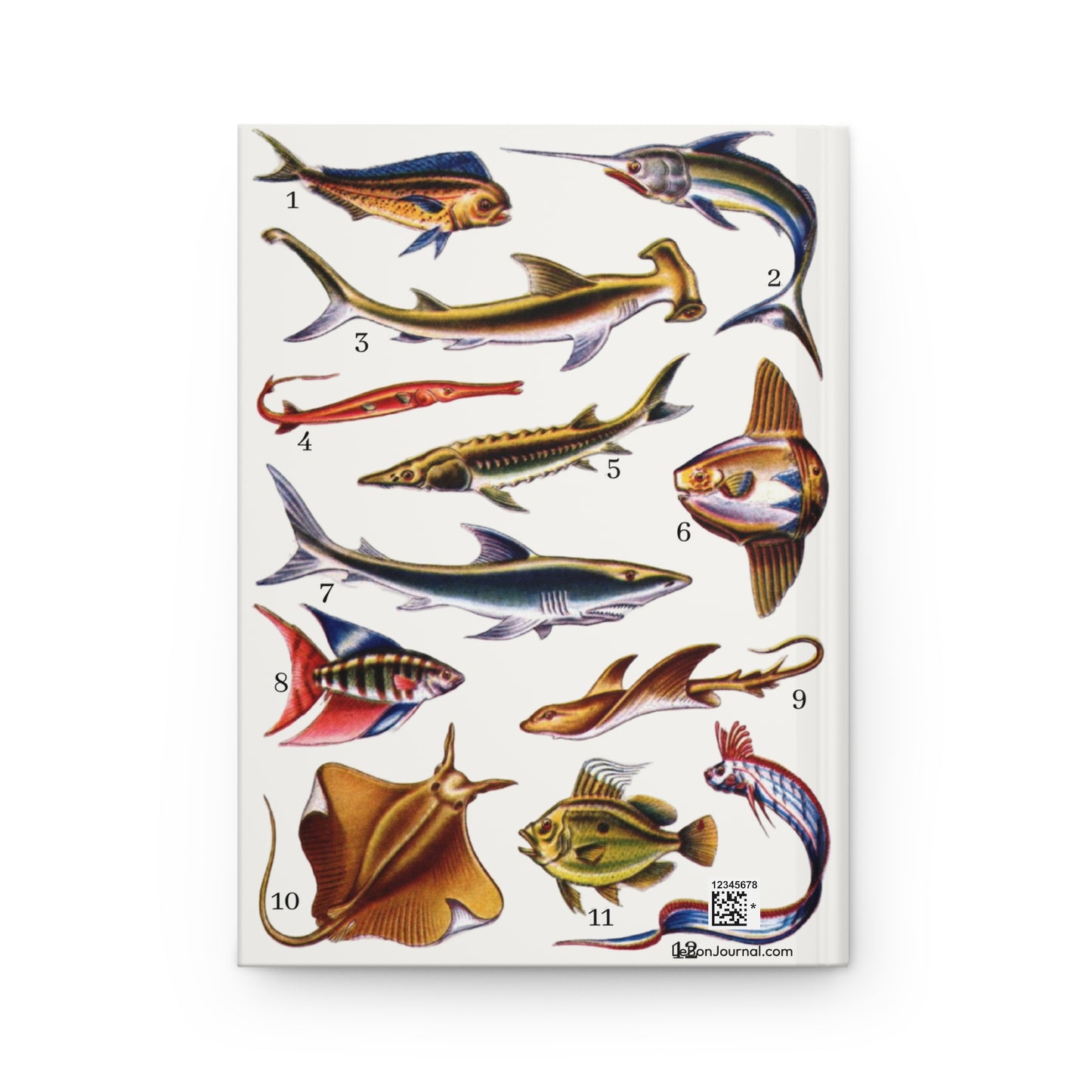 Back cover of Colorful Fishes journal featuring vintage ocean fish illustrations with Mahi-mahi, Sailfish, Hammerhead shark, Sturgeon, Ocean sunfish, Lionfish, and Eagle ray with production QR code - LeBonJournal
