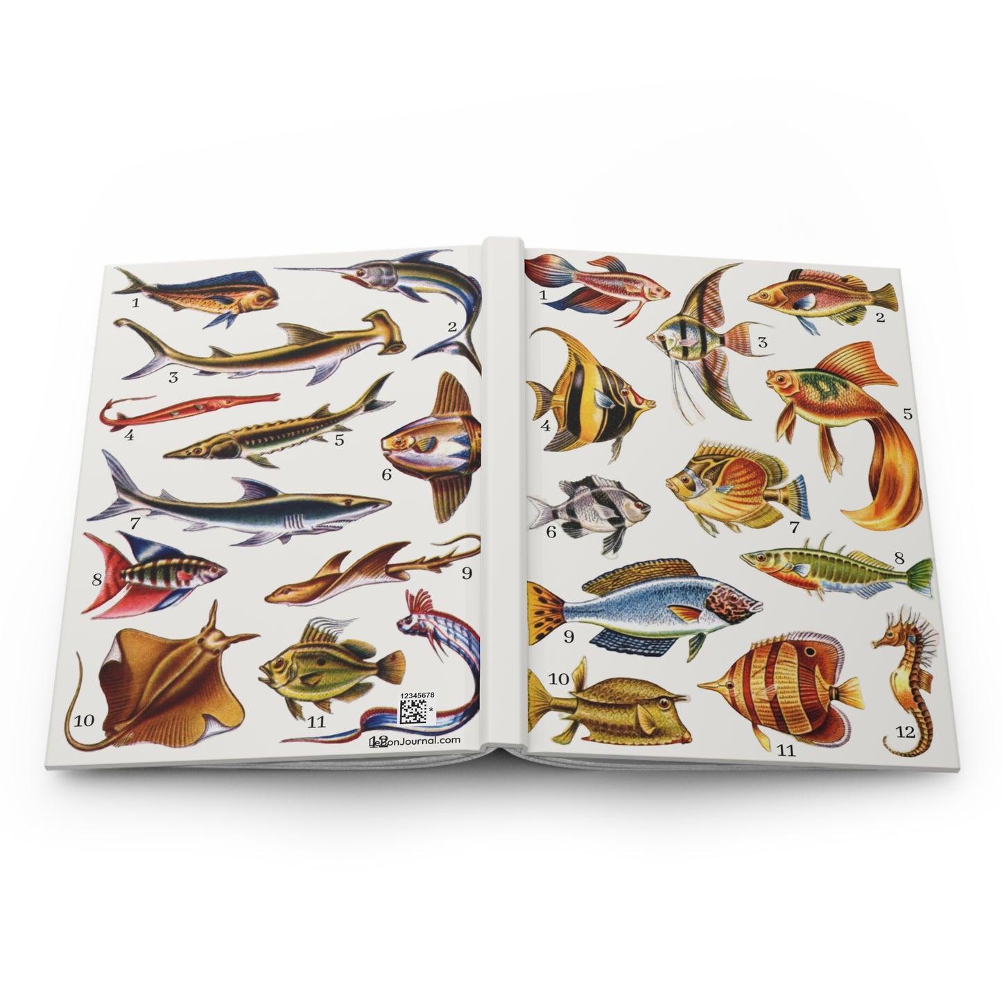 Open Colorful Fishes journal showing durable casewrap binding, hardcover construction with vintage Tesoro de la Juventud fish illustrations on front and back covers, and flexible spine for lay-flat writing - LeBonJournal