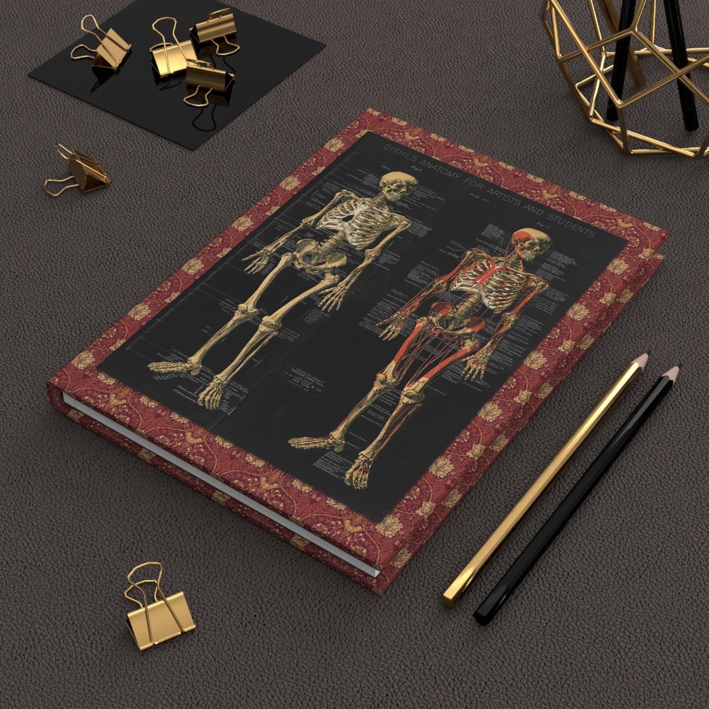 Conrad Diehl 1888 anatomical skeleton journal on workspace celebrating Anatomy for Artists and Students pedagogical heritage - LeBonJournal