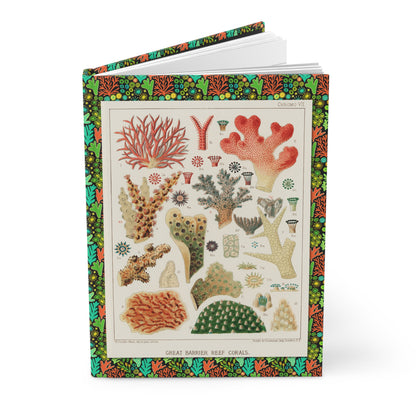 Coral journal William Saville-Kent 1893 Great Barrier Reef chromolithograph scientific illustration - LeBonJournal
