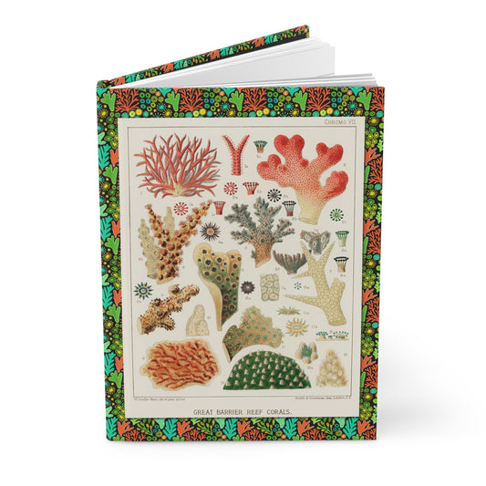 Coral journal William Saville-Kent 1893 Great Barrier Reef chromolithograph scientific illustration - LeBonJournal
