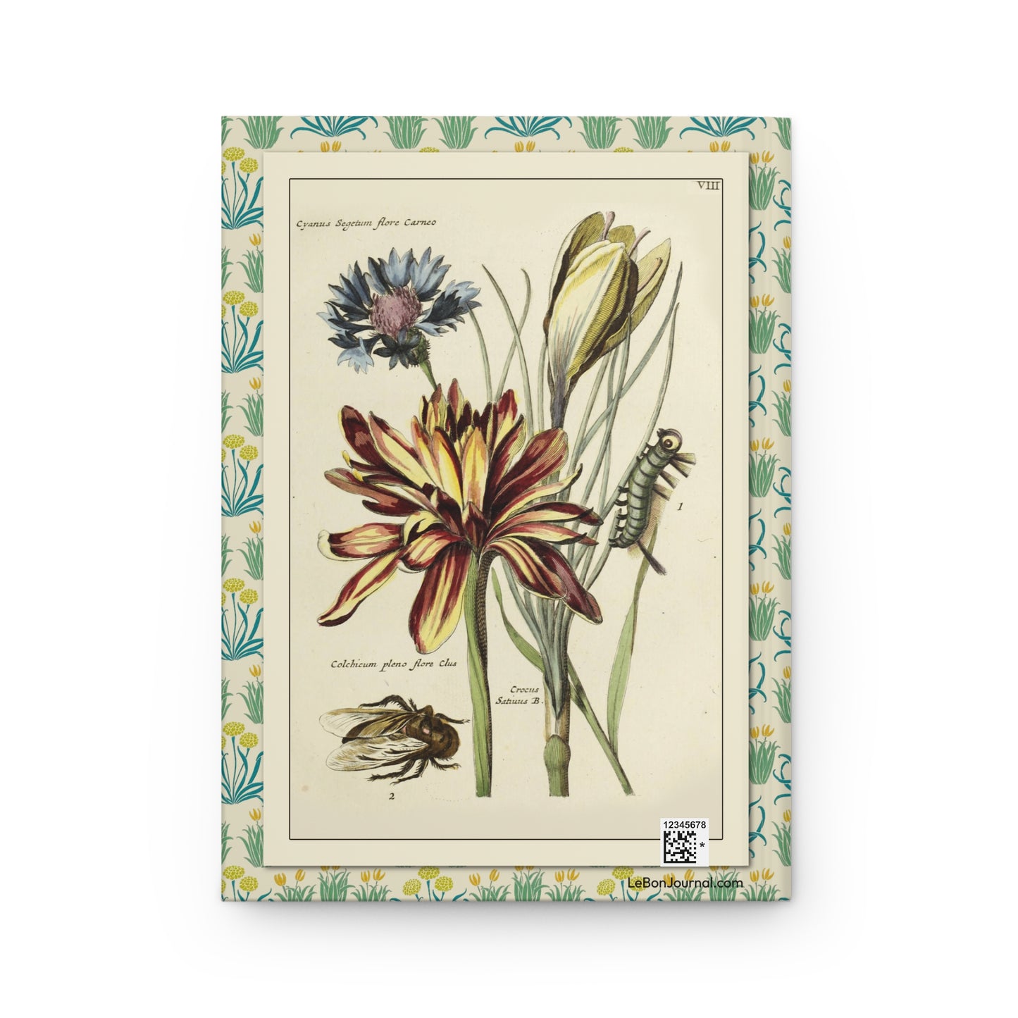 Cornflower Autumn Crocus Saffron caterpillar bee back cover from 1794 Nederlandsch Bloemwerk Myling - LeBonJournal