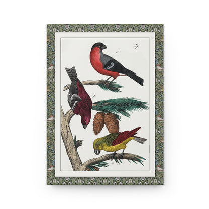 Crossbill, bullfinch and hawfinch front cover perched on pine branches, hand-coloured copper engraving by Naumann, Saxony 1841 - LeBonJournal