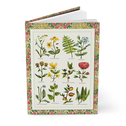 Culpeper's Herbal journal with Nicholas Culpeper 1652 hand-coloured medicinal plant plates 10 and 11 Complete Herbal - LeBonJournal