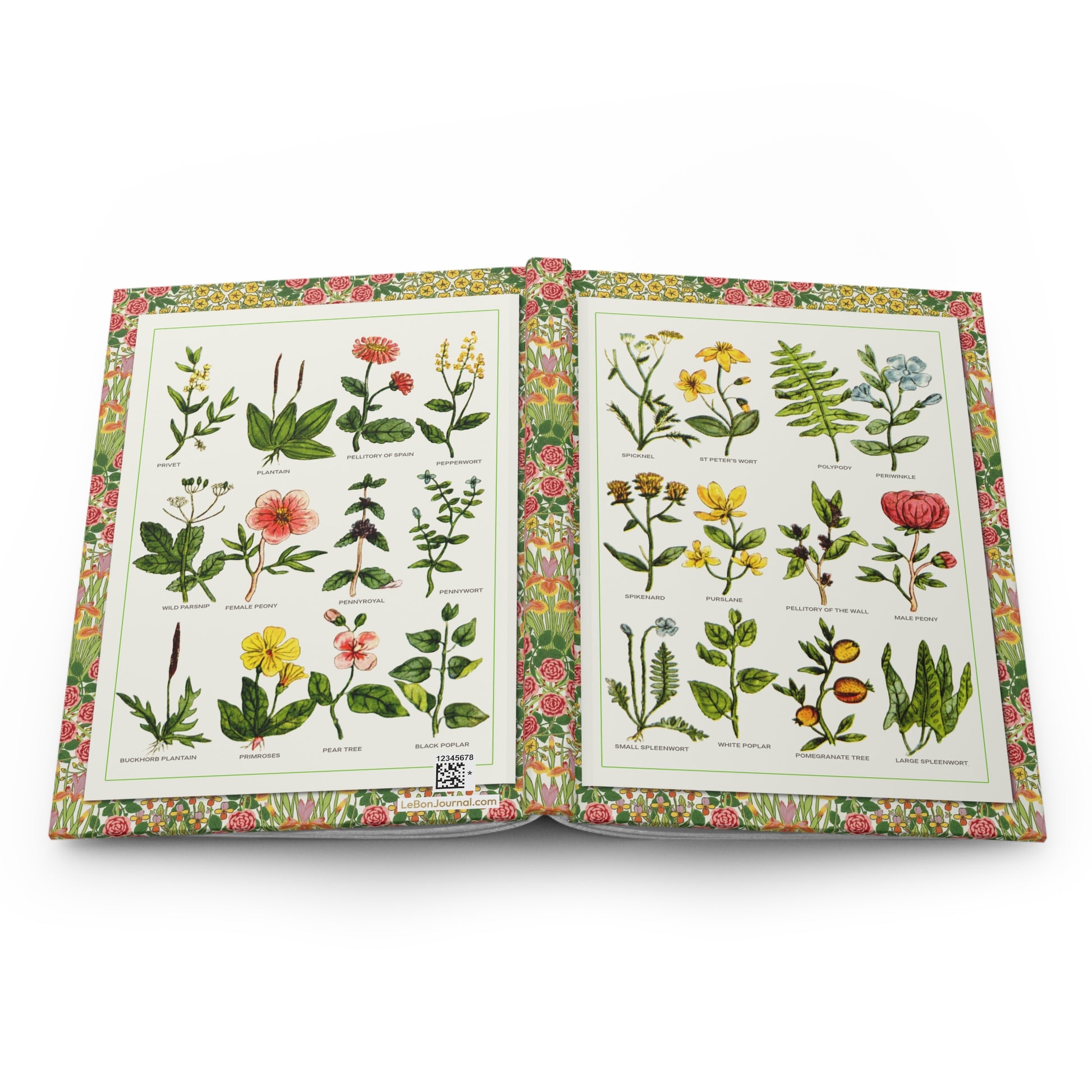 Nicholas Culpeper 1652 Complete Herbal hardcover journal spine and full-wrap hand-coloured medicinal plant plates - LeBonJournal