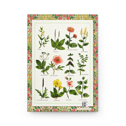 Nicholas Culpeper 1652 hand-coloured Plate 11 pennyroyal primrose plantain pear tree medicinal plants back cover - LeBonJournal