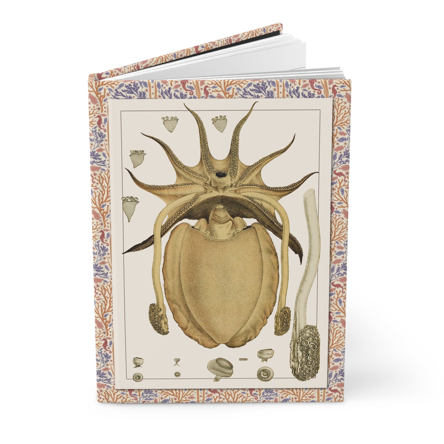 Cuttlefish journal with Frederick McCoy 1885-1890 Mollusca IV cover showing giant Australian cuttlefish Sepia apama illustrated by John James Wild - LeBonJournal