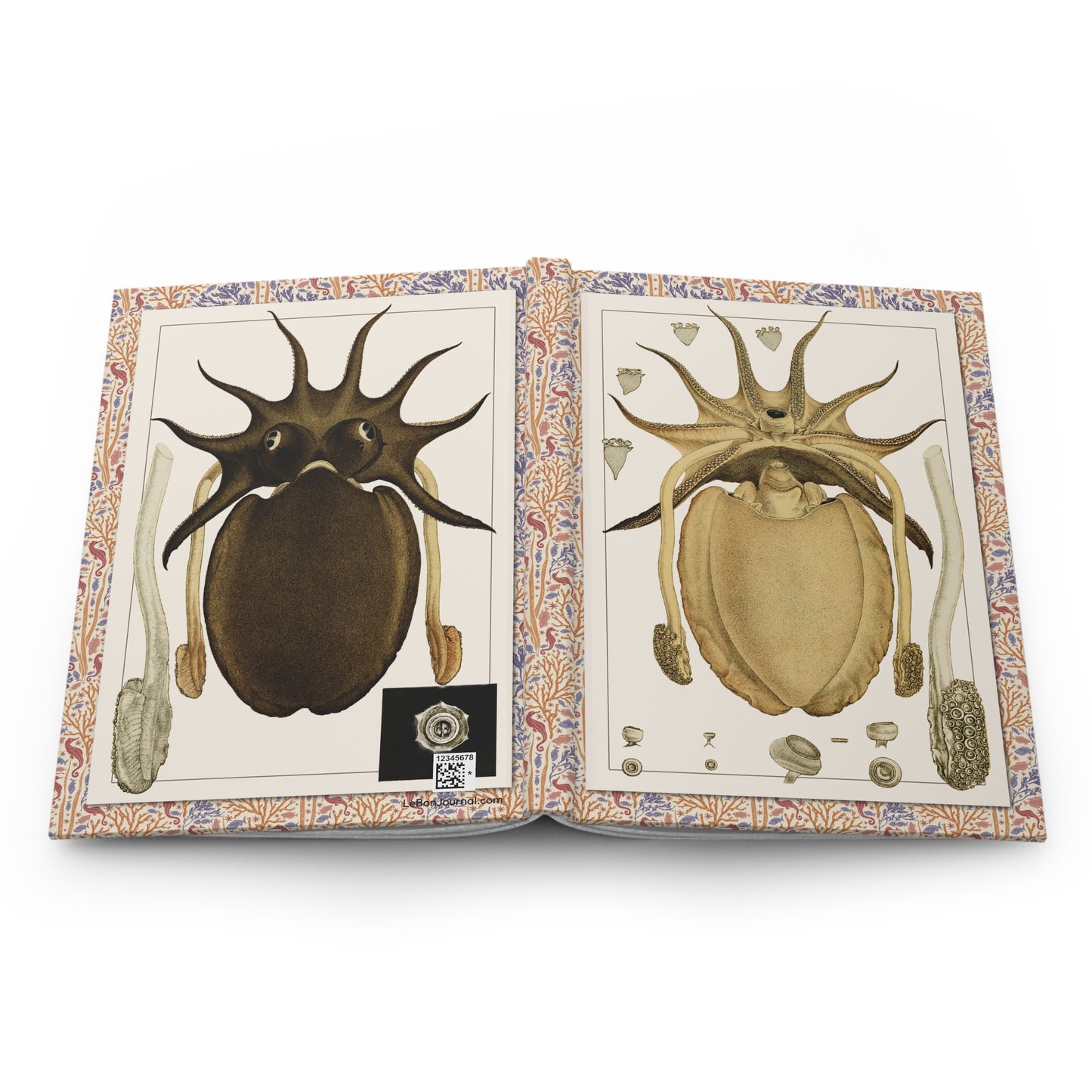 Cuttlefish hardcover journal spine and full-wrap Frederick McCoy 1885-1890 Mollusca IV and V sepia-toned cephalopod illustrations - LeBonJournal