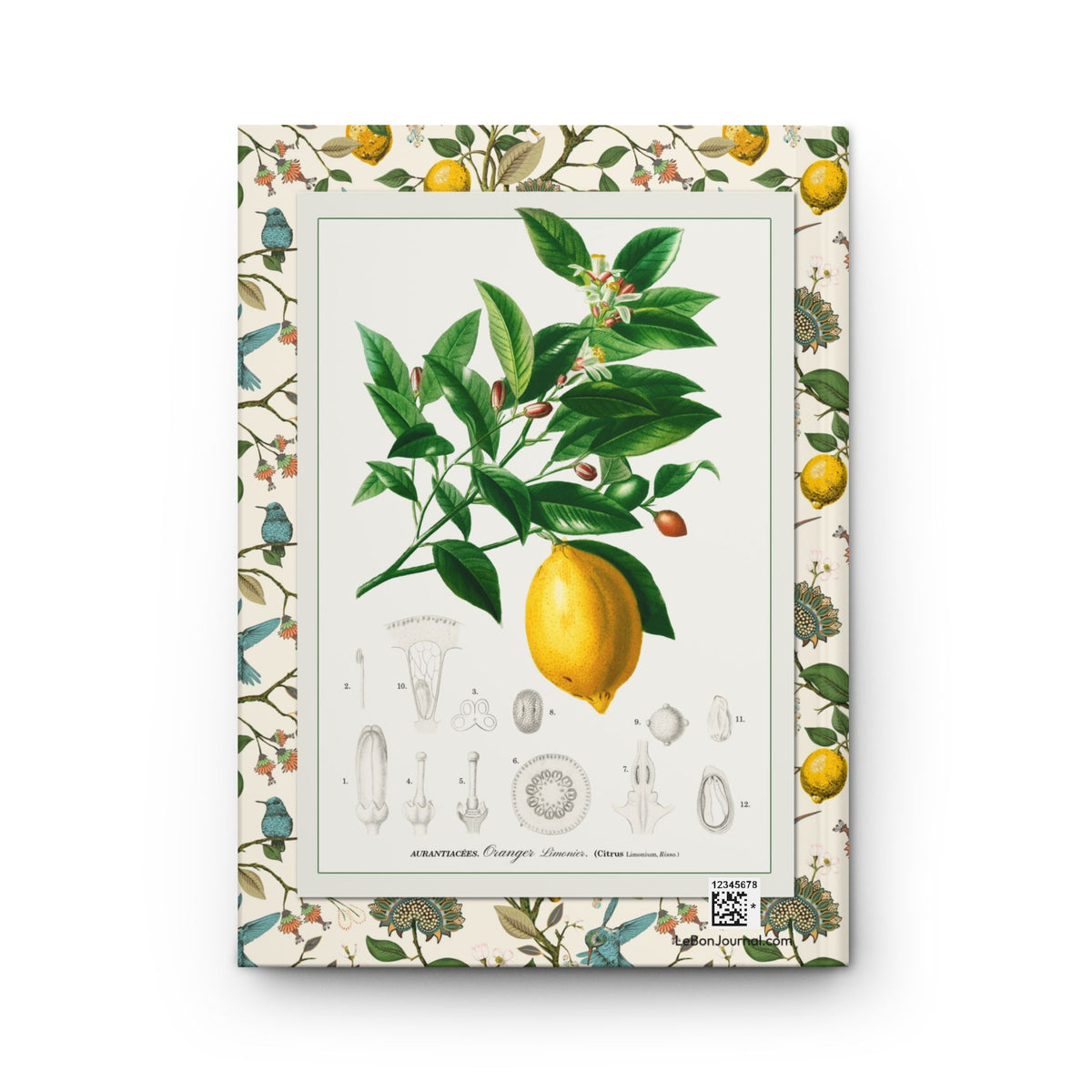 Lemon blank journal back cover with d'Orbigny 1841 Citrus Limonium botanical engraving lemon branch and anatomical details on cream citrus bird border - LeBonJournal