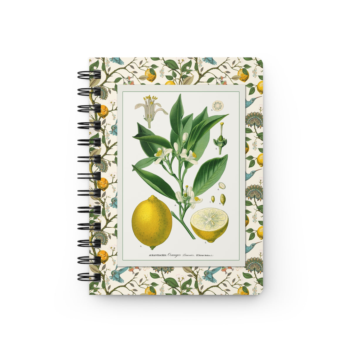 Lemon spiral journal front cover with d'Orbigny 1841 Citrus Limonium lemon branch anatomical details on cream citrus hummingbird botanical border - LeBonJournal