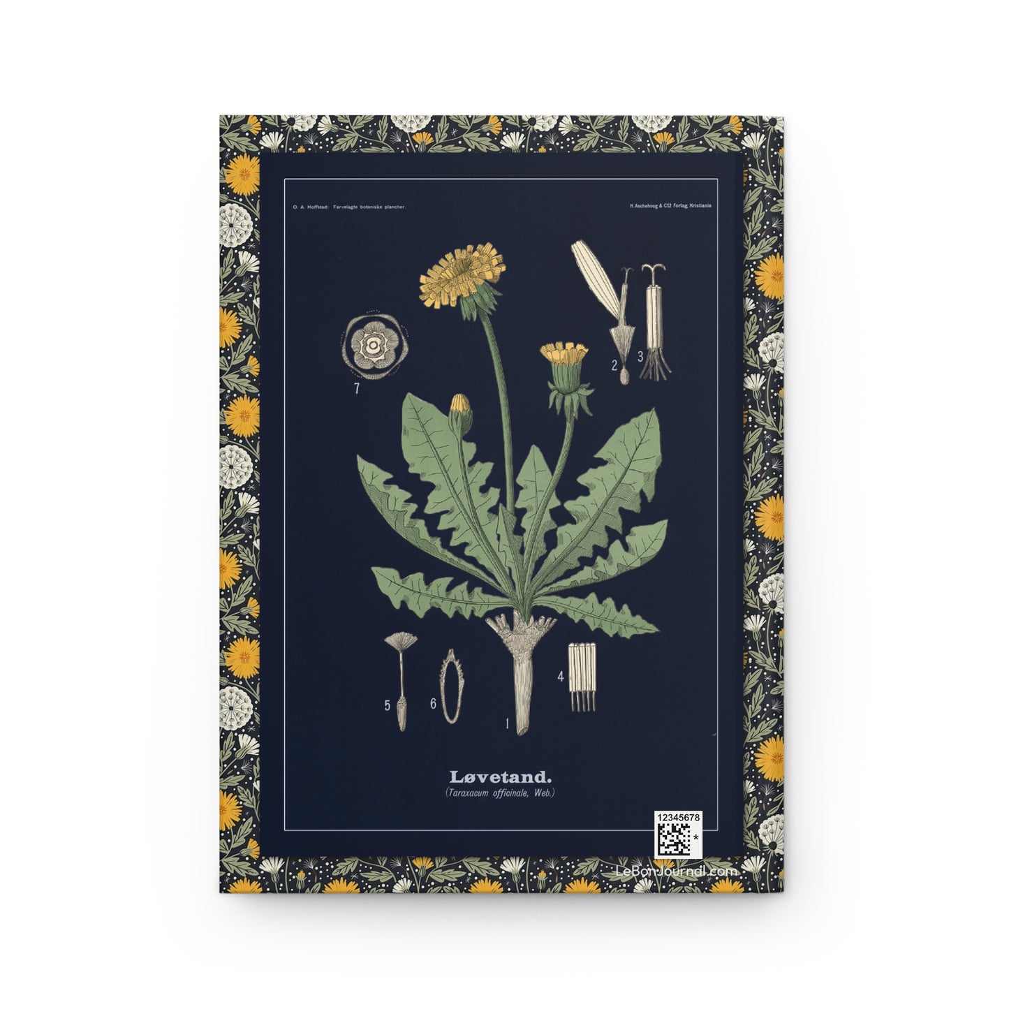 Back cover of Dandelion journal featuring Olaf Alfred Hoffstad 1899 Norwegian Løvetand botanical plate with morphological breakdown of Taraxacum officinale florets, achene, pappus and floral diagram - LeBonJournal