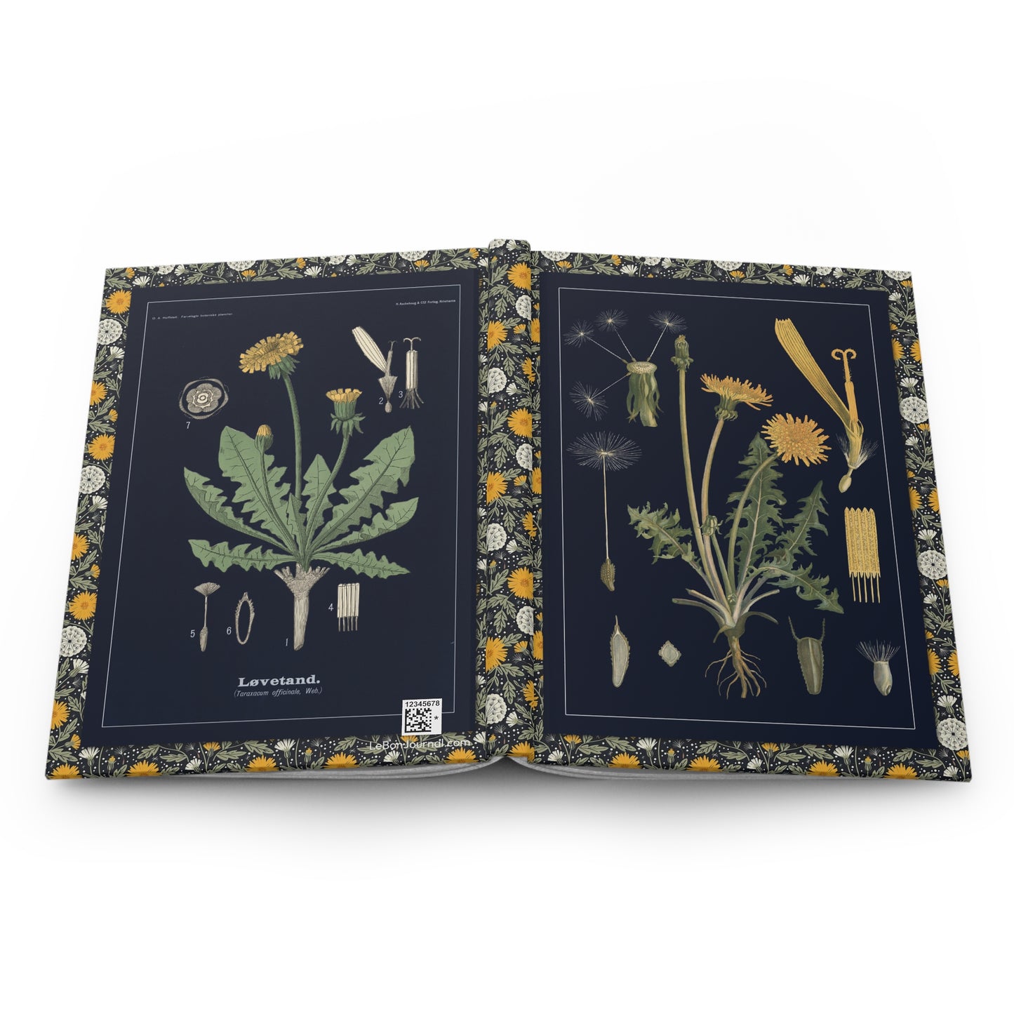 Open Dandelion journal showing durable casewrap binding, hardcover construction with Ebba Masalin 1905 and Olaf Alfred Hoffstad 1899 botanical illustrations on front and back covers, and flexible spine for lay-flat writing - LeBonJournal
