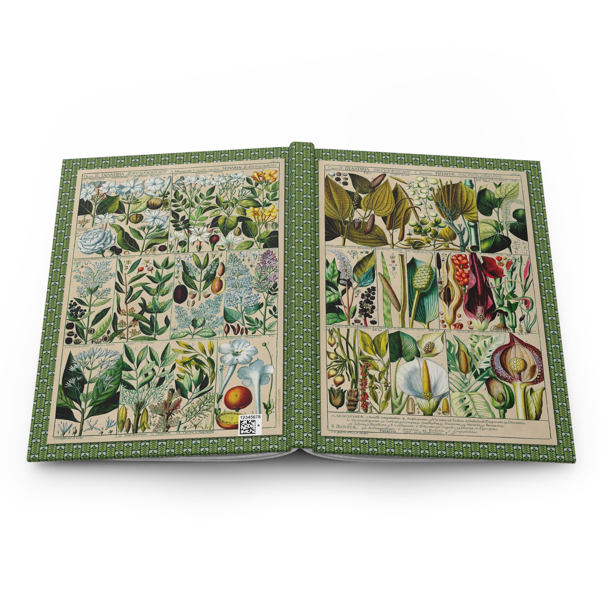 Diandria botanical hardcover journal open showing front and back covers with casewrap sewn spine, Gessner 1795 - LeBonJournal
