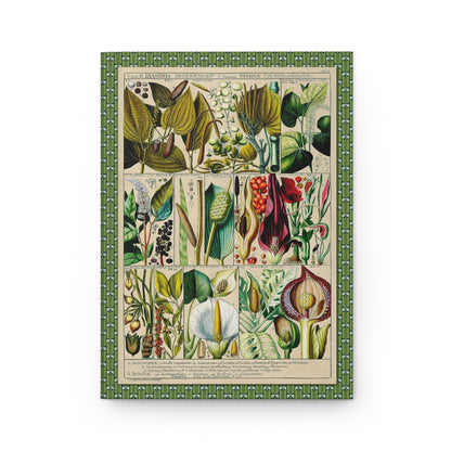 Diandria front cover with lavender, olive, rosemary and jasmine hand-coloured engraving by Gessner, Tabulae Phytographicae 1795 - LeBonJournal