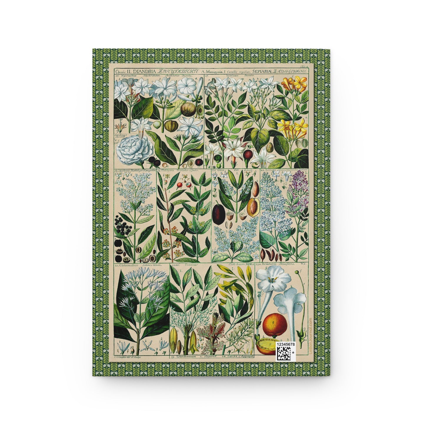 Diandria back cover with ornate green border design, Gessner Tabulae Phytographicae Zurich 1795, full-wrap composition - LeBonJournal